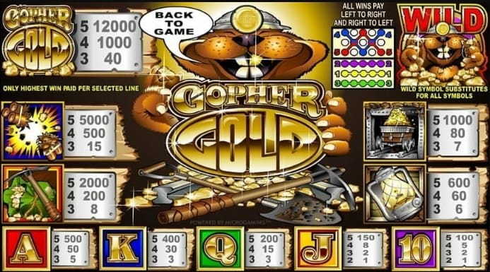 Gopher Gold Slots